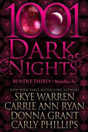 1001 Dark Nights: Bundle Thirty by Skye Warren