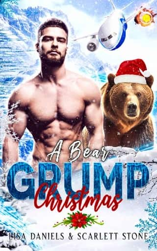 A Bear Grump Christmas by Lisa Daniels