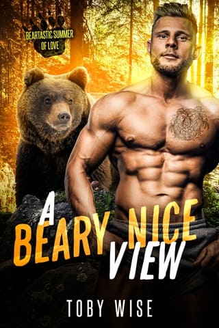 A Beary Nice View by Toby Wise