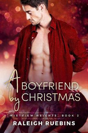 A Boyfriend by Christmas by Raleigh Ruebins