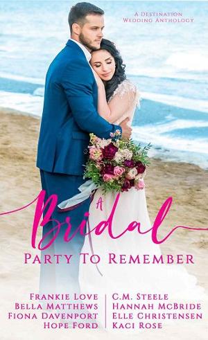 A Bridal Party to Remember by Elle Christensen