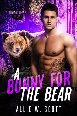 A Bunny for the Bear by Allie W. Scott