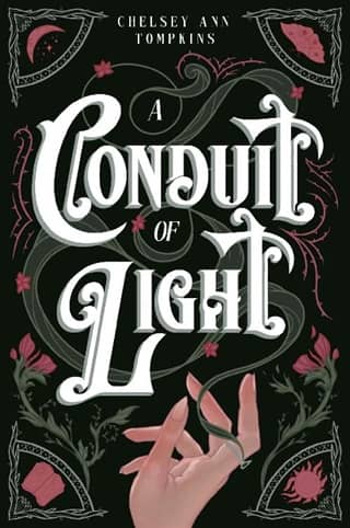 A Conduit of Light by Chelsey Ann Tompkins