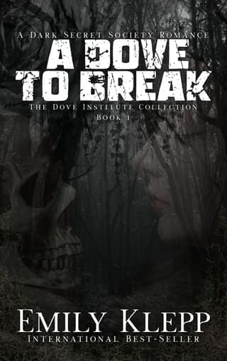 A Dove To Break by Emily Klepp