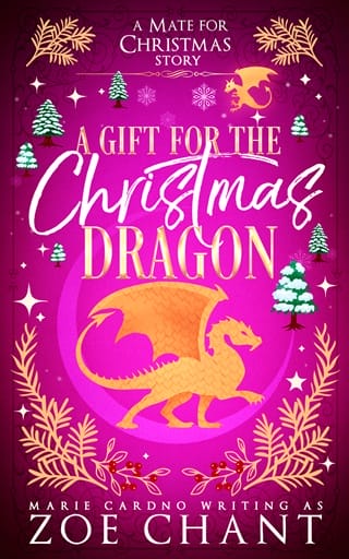 A Gift for the Christmas Dragon by Zoe Chant