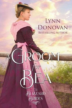 A Groom for Bea by Lynn Donovan