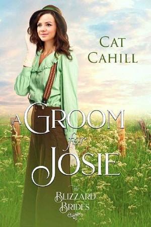 A Groom for Josie by Cat Cahill