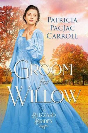 A Groom for Willow by Patricia PacJac Carroll