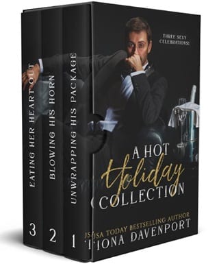 A Hot Holiday Collection by Fiona Davenport