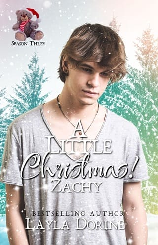 A Little Christmas 3: Zachy by Layla Dorine