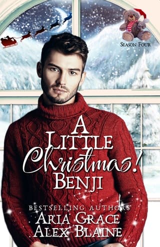 A Little Christmas! Benji by Aria Grace