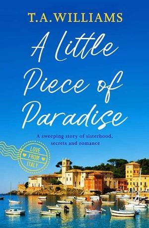 A Little Piece of Paradise by T.A. Williams
