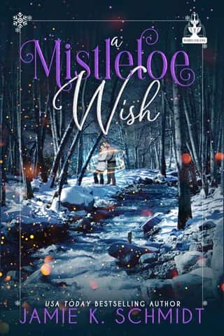 A Mistletoe Wish by Jamie K. Schmidt
