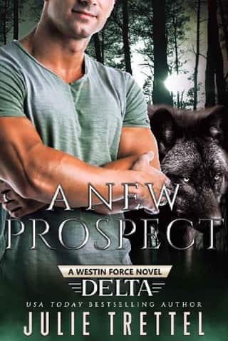 A New Prospect by Julie Trettel
