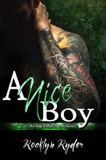 A Nice Boy by Rocklyn Ryder