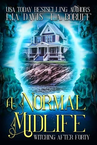 A Normal Midlife by Lia Davis