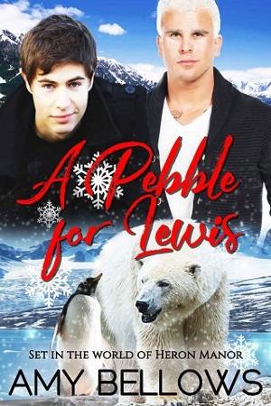 A Pebble for Lewis by Amy Bellows