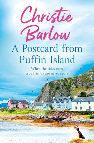 A Postcard from Puffin Island by Christie Barlow