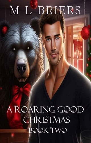 A Roaring Good Christmas #2 by M L Briers
