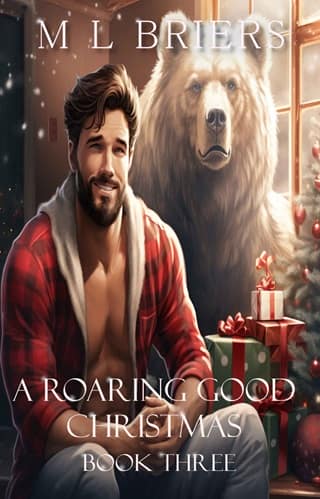 A Roaring Good Christmas #3 by M L Briers