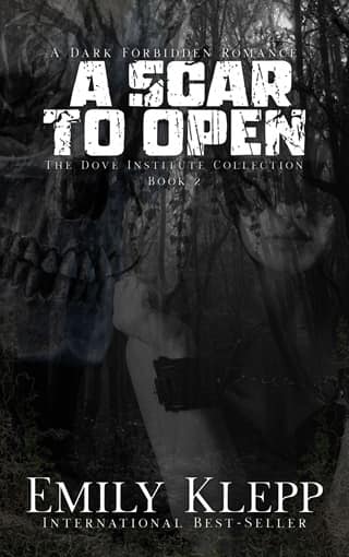 A Scar To Open by Emily Klepp