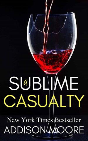 A Sublime Casualty by Addison Moore