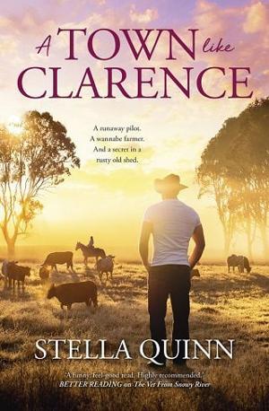 A Town Like Clarence by Stella Quinn