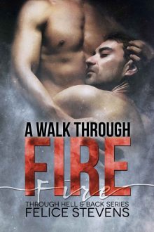 A Walk Through Fire by Felice Stevens