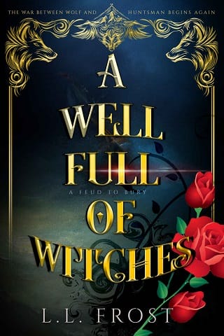 A Well Full of Witches by L.L. Frost