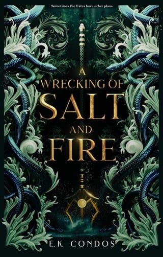 A Wrecking of Salt and Fire by E.K. Condos