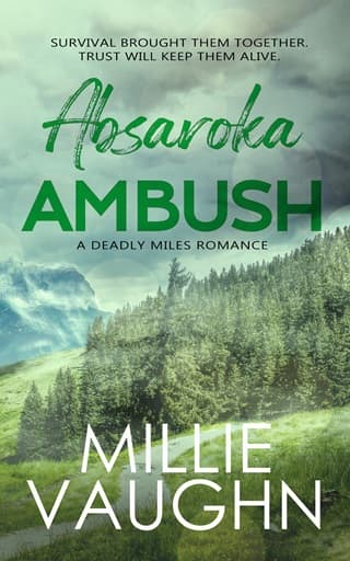 Absaroka Ambush by Millie Vaughn