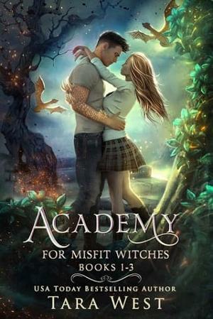 Academy for Misfit Witches #1-3 by Tara West