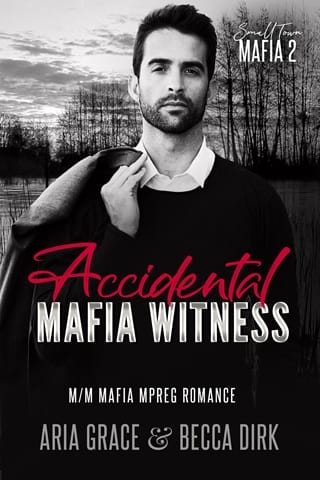 Accidental Mafia Witness by Aria Grace