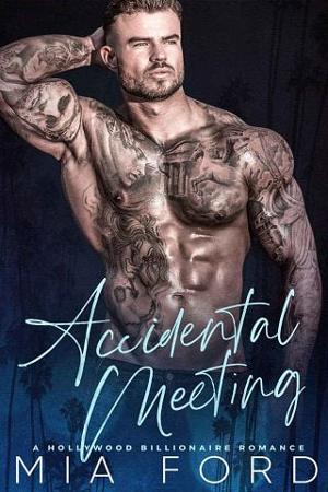 Accidental Meeting by Mia Ford