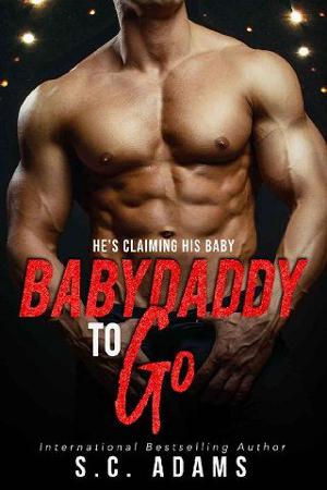 Babydaddy To Go by S.C. Adams