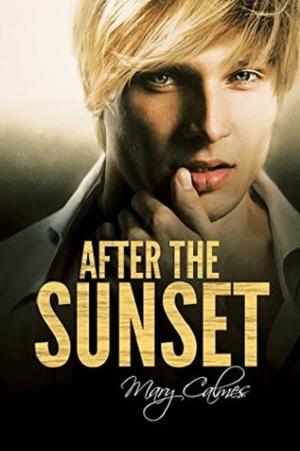 After the Sunset by Mary Calmes