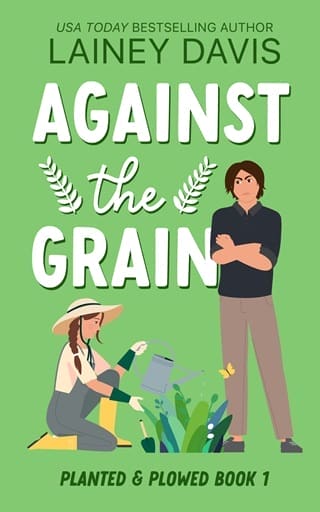 Against the Grain by Lainey Davis