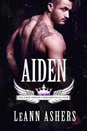 Aiden by LeAnn Ashers
