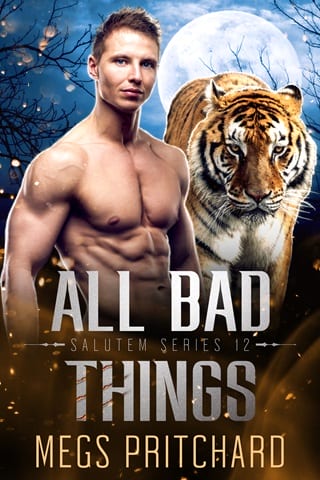 All Bad Things by Megs Pritchard