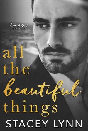All the Beautiful Things by Stacey Lynn