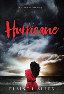 Hurricane by Elaine L. Allen