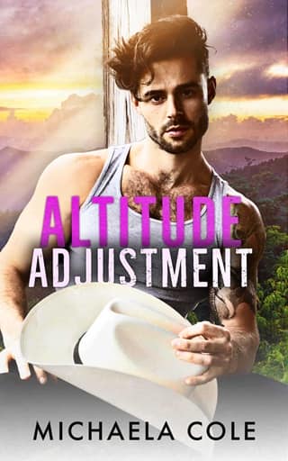 Altitude Adjustment by Michaela Cole