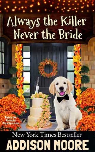 Always the Killer Never the Bride by Addison Moore