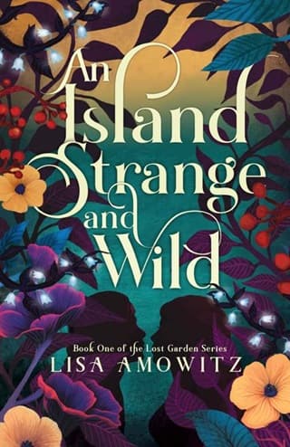 An Island Strange and Wild by Lisa Amowitz