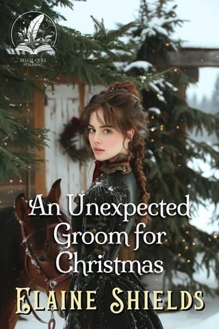 An Unexpected Groom for Christmas by Elaine Shields