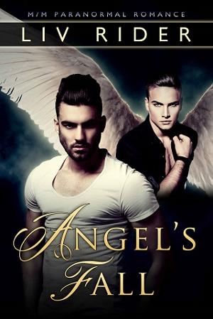 Angel’s Fall by Liv Rider
