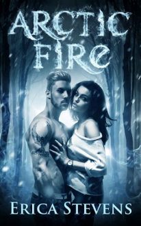 Arctic Fire by Erica Stevens