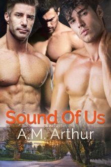 Sound of Us by A.M. Arthur