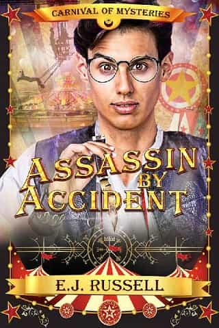 Assassin By Accident by E.J. Russell