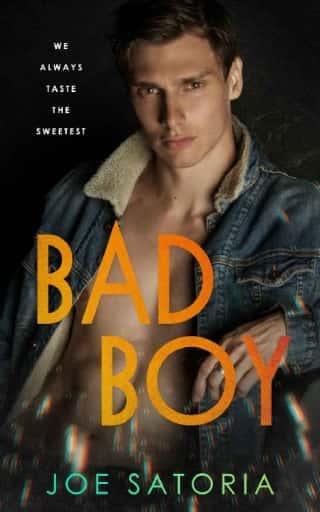 Bad Boy by Joe Satoria